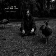 Adam Torres - I Came to Sing the Song (2017)