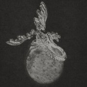 Erika Sirola & Murrettumeri - The Weight of the World (2026) [Hi-Res]