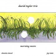 David Taylor Trio - Morning Moon (2004)