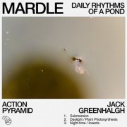 Action Pyramid & Jack Greenhalgh - Mardle: Daily Rhythms Of A Pond (2023)