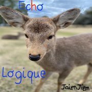 Jaim Jiem - Echo logique (2022)