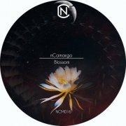 Ncamargo - Blossom (2023)