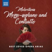 VA - Marvellous Mezzo-Soprano and Contralto: Best Loved Opera Arias (2021)