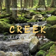 Sounds Of Beautiful World - Flowing Water: Creek (2016) flac