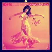 Ozel Turkbas - How To Belly Dance For Your Sultan (1973/2020)