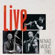 Nenad Vasilic - Nenad Vasilic Trio Live (2022) [Hi-Res]