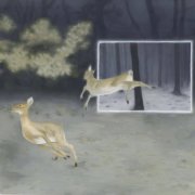 Dutch Interior - Blinded by Fame (2023)