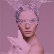 VA - Chillout & Lofi Vibes 2026 (2026)