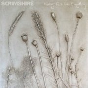 Scrimshire - Nothing Feels Like Everything (2021)