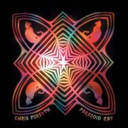 Chris Forsyth - Paranoid Cat (2011)