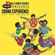 Sound Experience - Philly Groove Records Presents: Don't Fight The Feeling (2014)