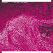 David Toop - Pink Spirit, Noir World (2022)