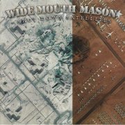 Wide Mouth Mason - Shot Down Satellites (2005)