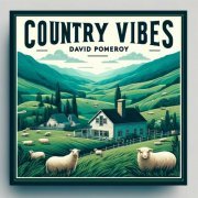 David Pomeroy - Country Vibes (2024)