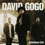 David Gogo - Vicksburg Call (2015)