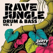 VA - RAVE / JUNGLE / D&B Vol 3 (2025)