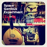 Space Gambus Experiment - Space Gambus Experiment (2011)