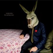 Tindersticks - The Waiting Room (2016) [Hi-Res]