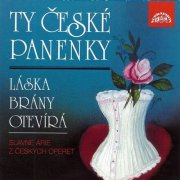 Dvořák Chamber Orchestra, Kühn Mixed Choir, Vladimír Válek, Pavel Kühn, Miroslav Homolka - Famous Arias from Czech Operettas (1996)