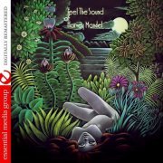 Harvey Mandel - Feel the Sound of Harvey Mandel (Digitally Remastered) (2016)