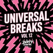 VA - UNIVERSAL BREAKS Vol 12 (2025)