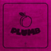 David Murray, Questlove, Ray Angry - Plumb (2023) [Hi-Res]