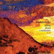 Tindersticks - Falling Down A Mountain (2010)