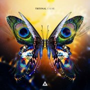 Tritonal - U & Me (2019)