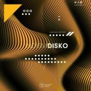 VA - Indism Disko, Vol 2 (2024)