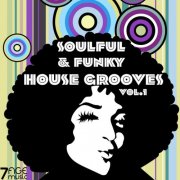 VA - Soulful & Funky House Grooves, Vol. 1 (2025)