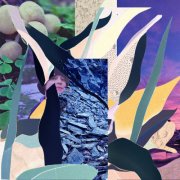 Oak Ay - LONGHAUL (2026)