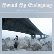 Bound by Endogamy - Steamy Highways Have No End (2026) [Hi-Res]