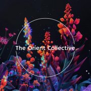 VA - The Orient Collective : Ayahuasca (2025)