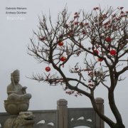 Andreas Günther & Gabriele Meirano - Branches (2019) [Hi-Res]