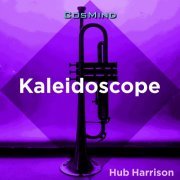 Hub Harrison - Kaleidoscope (2022) Hi-Res