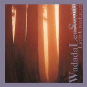 Wadada Leo Smith - Light Upon Light (1999)