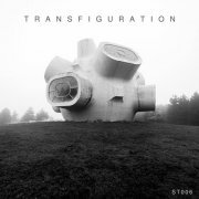 VA - Transfiguration VA (2020)