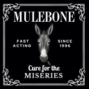 Mulebone - Cure For The Miseries (2026) [Hi-Res]