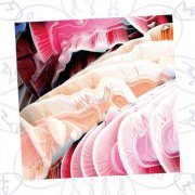 NAQT VANE - NV EP (2025) Hi-Res