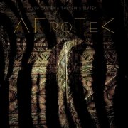 Flash Carter, T4ILSPIN & Slytek - Afrotek (2025)