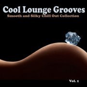 Cool Lounge Grooves, Vol. 1 - Smooth and Silky Chill out Collection (2015)