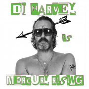 DJ Harvey - The Sound Of Mercury Rising Vol. II (2019)