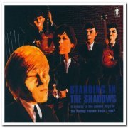 VA - Standing in the Shadows: A Tribute to the Golden Days of The Rolling Stones 1963-1967 (2002)