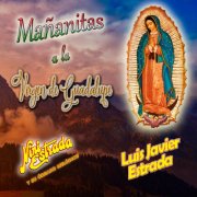 Luis Javier Estrada, Nini Estrada y su Órgano Melódico - Mañanitas a la Virgen de Guadalupe (2025) Hi-Res