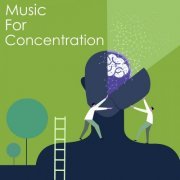 VA - Music for Concentration: Schubert (2022) FLAC