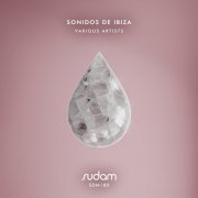 VA - Sonidos de Ibiza (2025)