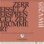 Orchester der J.S. Bach-Stiftung, Rudolf Lutz & Chor der J.S. Bach-Stiftung - Bachkantate, BWV 205: Zerreißet, zersprenget, zertrümmert die Gruft (Live) (2025) Hi-Res