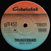 VA - Thunderbird (2024)