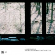 Andrea Parkins - Two Rooms from the Memory Palace (2021) [Hi-Res]