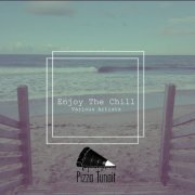 VA - Enjoy The Chill (2020)